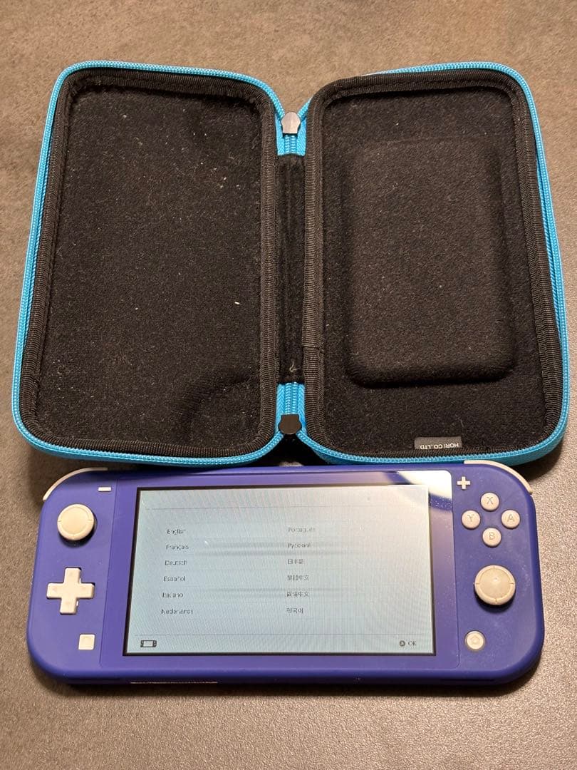 【ジャンク】Nintendo Switch Lite HDH-001 カバー付き