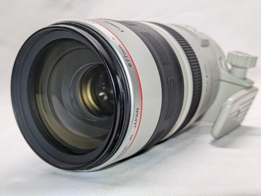 レンズ(ズーム) Canon EF 100-400mm 4.5-5.6 L IS USM #311