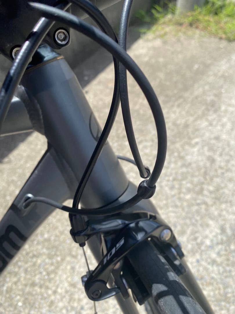 ほ*よ様 今だけ大特価Khodaabloom Farna