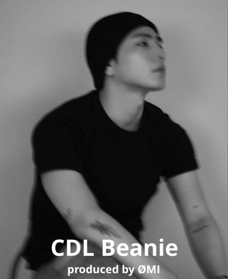 CDL Beanie CDL TOKYO ビーニー cdl ニッ 卜帽