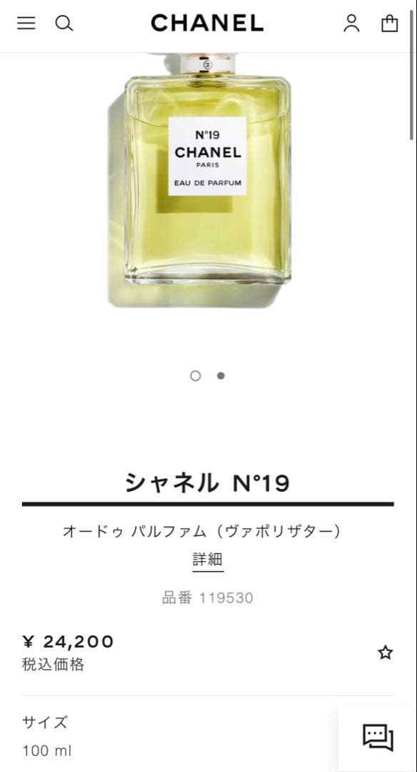 CHANEL N°19 Eau de Parfum 100ml ヴァポリザター