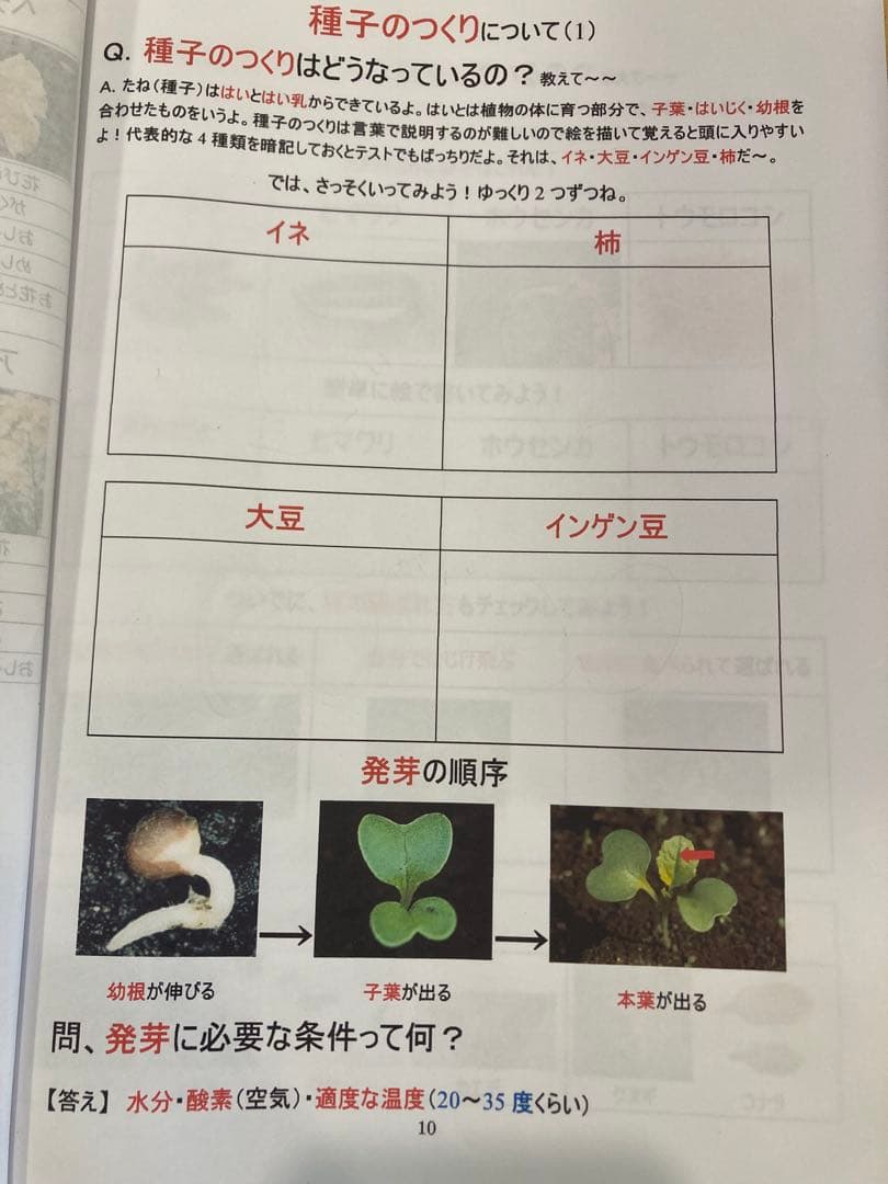 サントップ　DVD 中学受験　理科