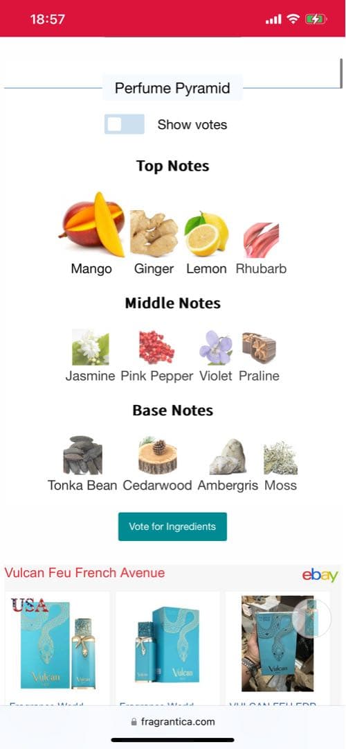 French Avenue Vulcan Feu ⚠️Tata ⚠️