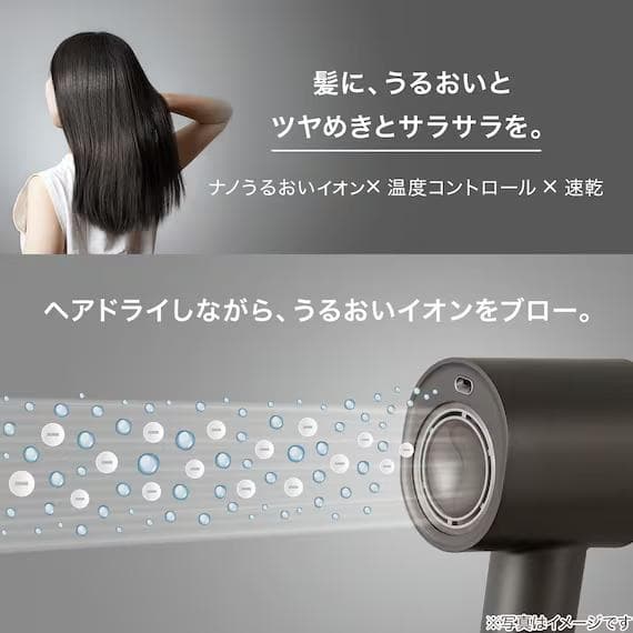 NITORIナノうるおいミスト美髪ドライヤー ホワイト NL701DGY