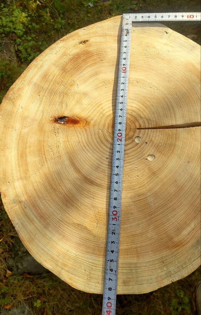 キャットタワー