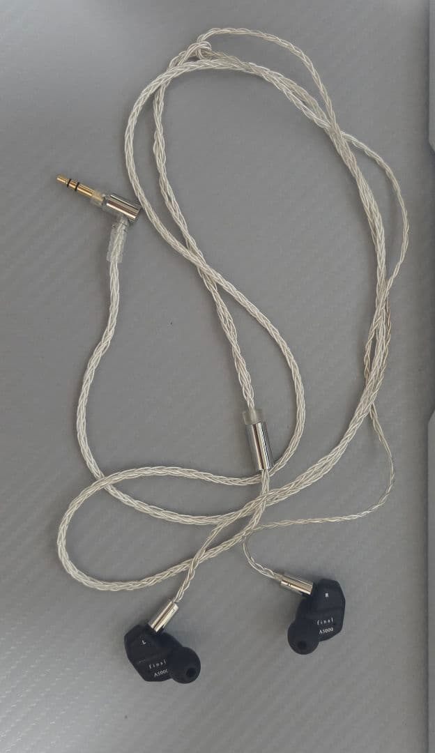 [ほぼ新品] final A5000 有線イヤホン 日本オーディオブランド