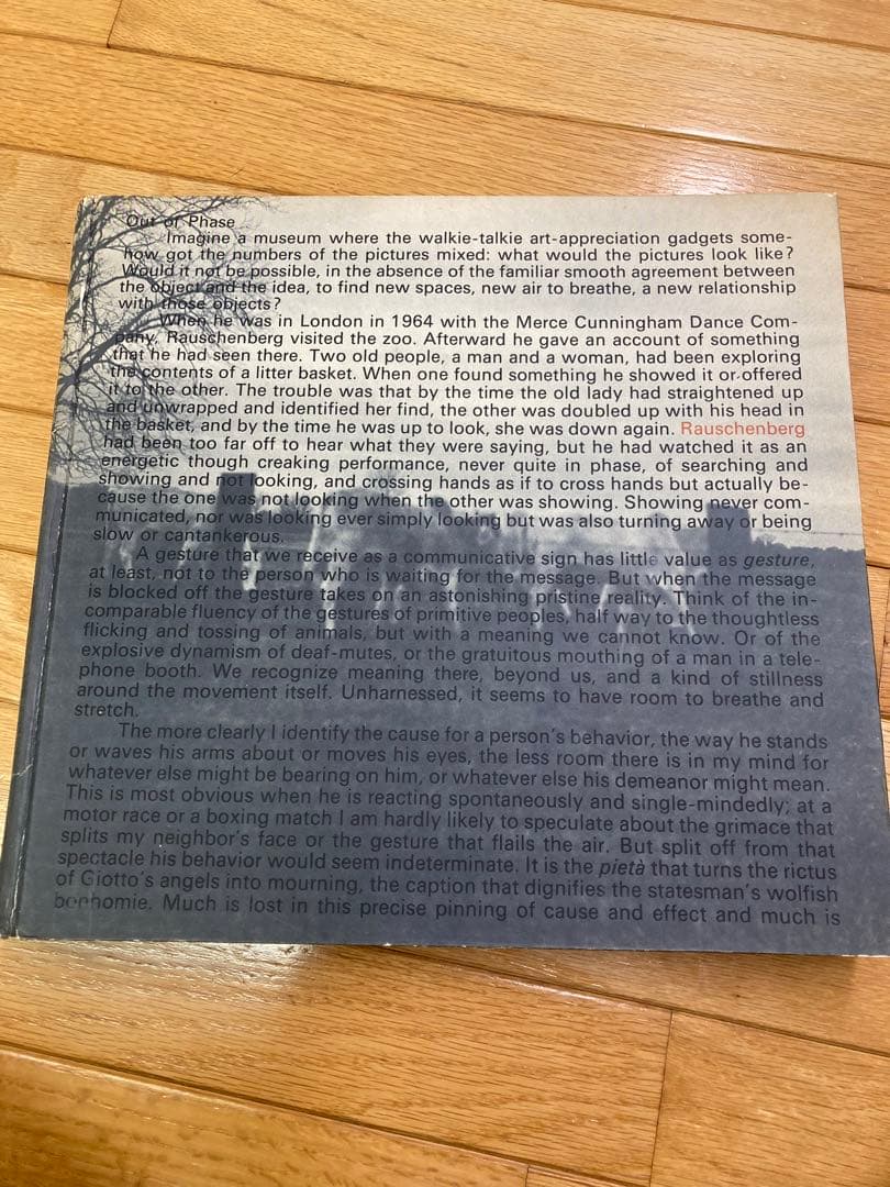 希少　貴重！　ラゥシェンバーグ画集