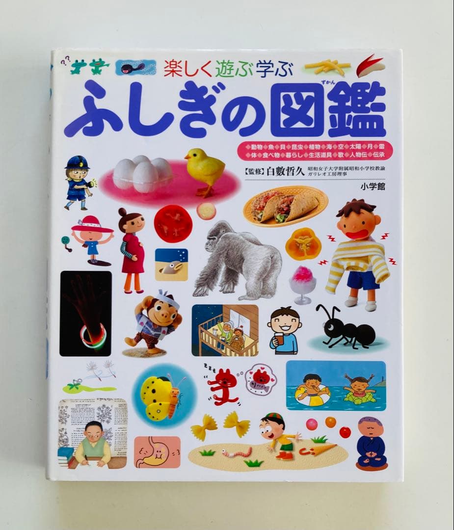 小学館の子ども図鑑プレNEO 等　13冊セット