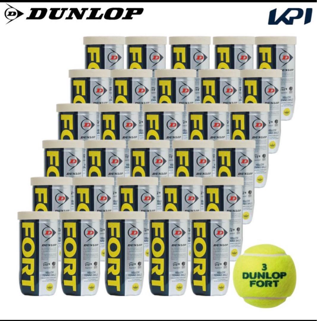 ダンロップフォート　硬式テニスボール　30缶　60球　新品未使用