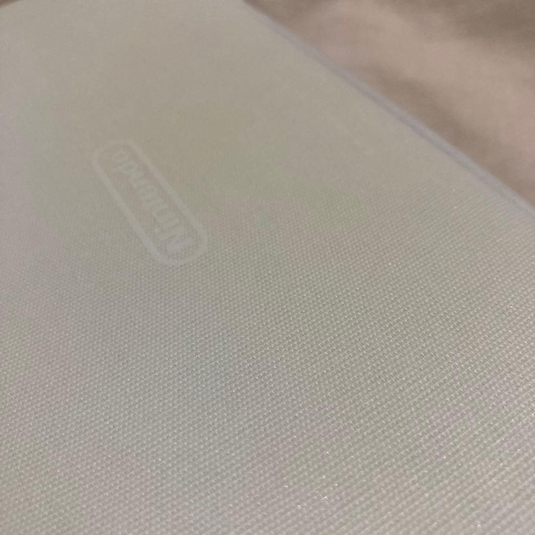 Nintendo Switchライト ポケモンデザイン 動作不良なし