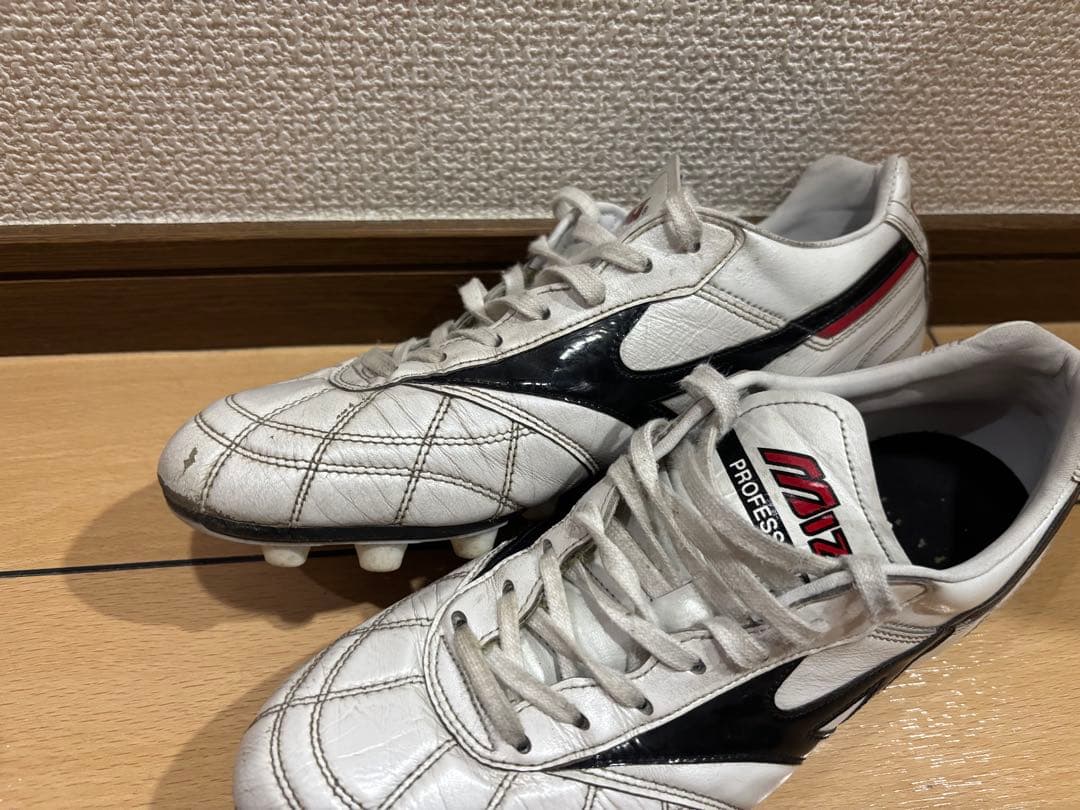 【値下げ不可】Mizuno モレリア