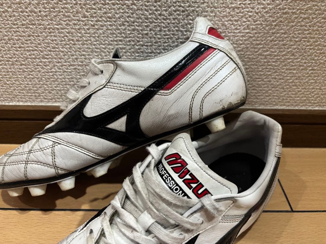 【値下げ不可】Mizuno モレリア