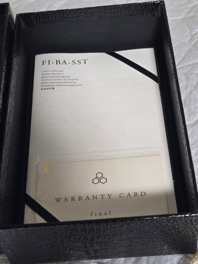 【熟成の銀】final FI-BA-SST35 付属品完備 飴色の本物【名機】