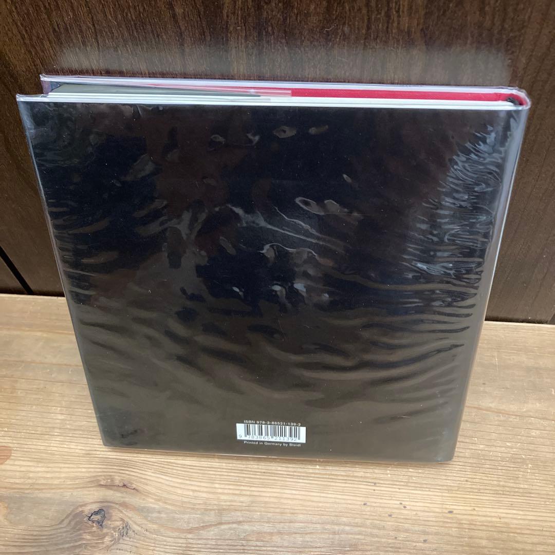 SAUL LEITER Early Color 第6版