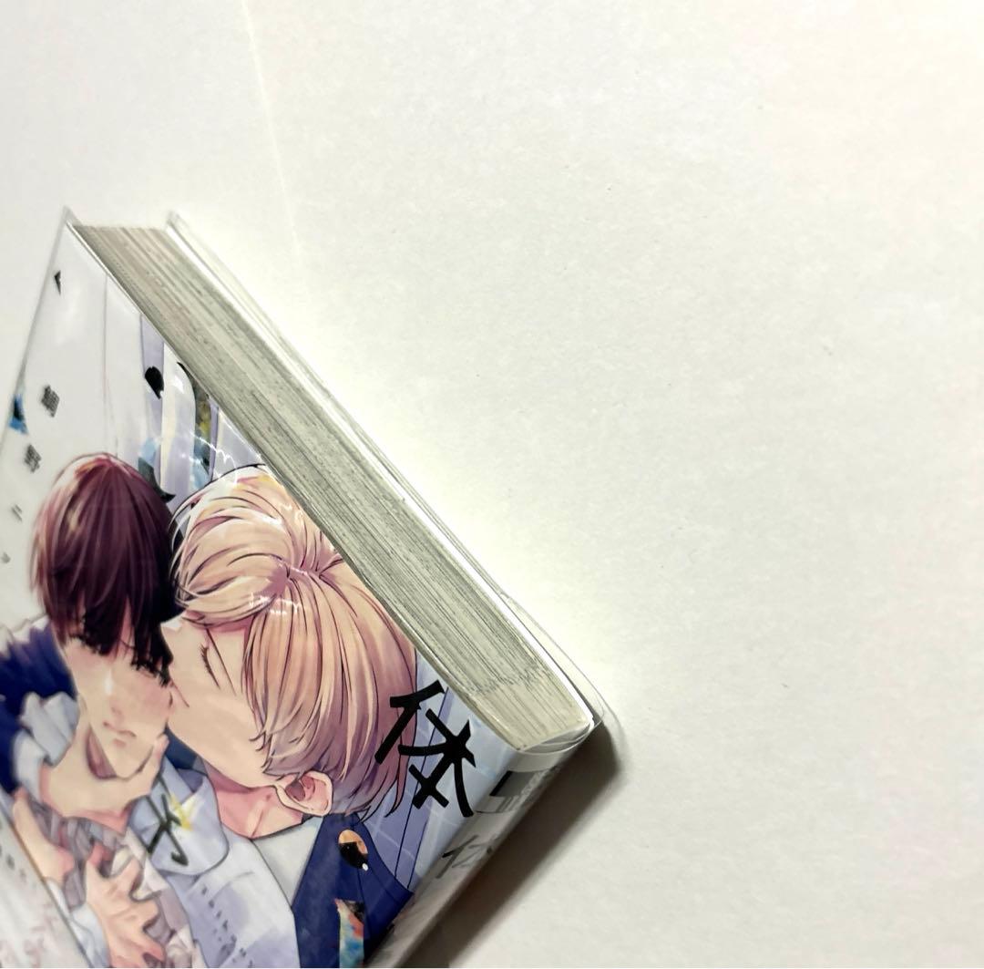 7点セット 体感予報 鯛野ニッケ