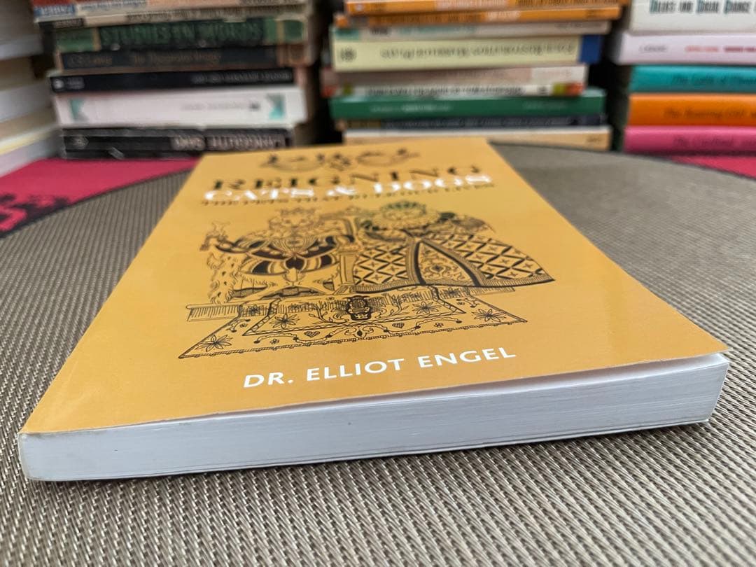 希少　サイン入り　REIGNING CATS & DOGS