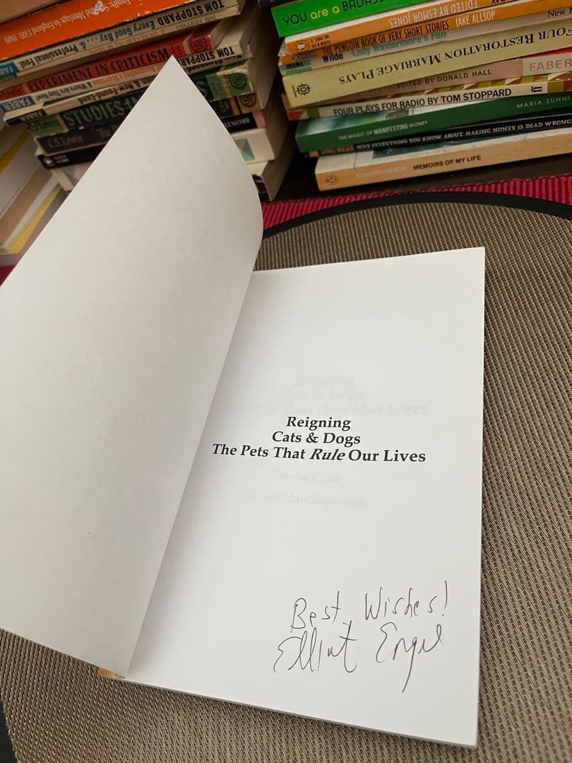 希少　サイン入り　REIGNING CATS & DOGS