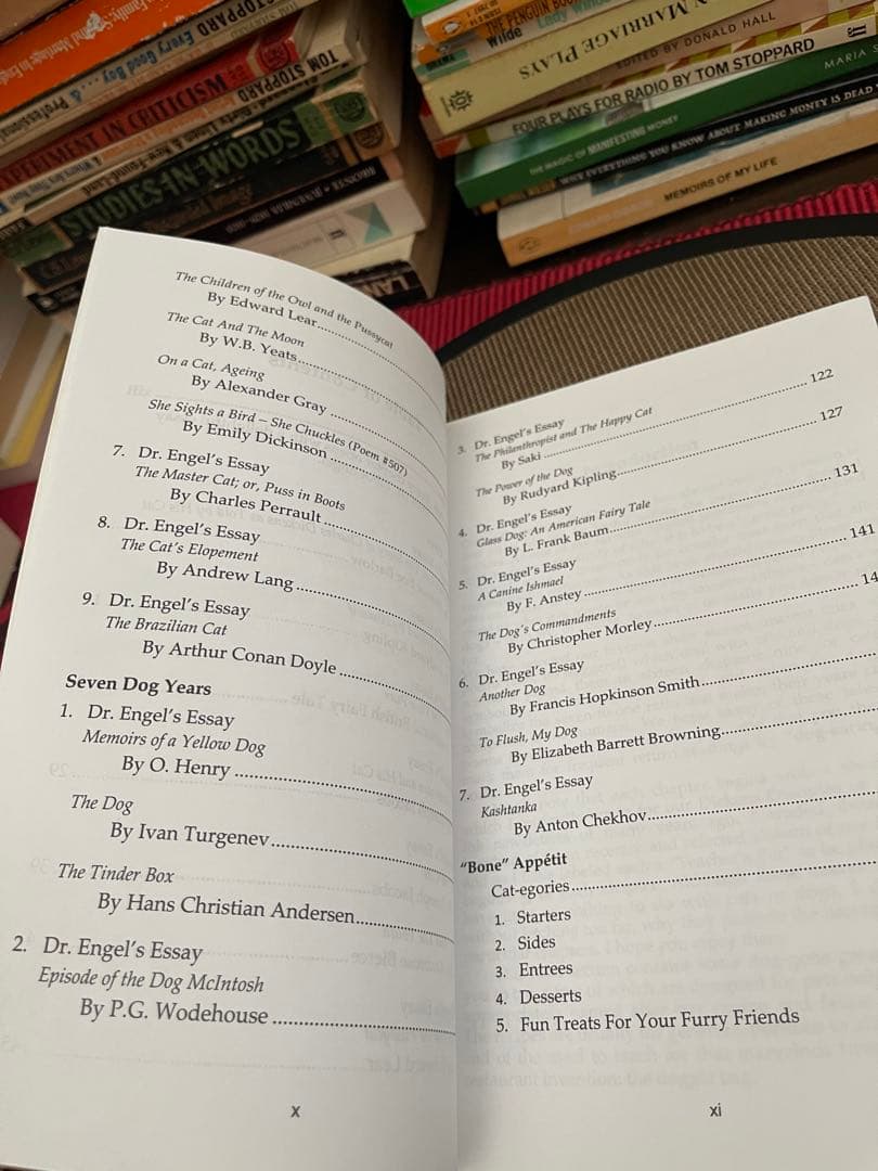 希少　サイン入り　REIGNING CATS & DOGS