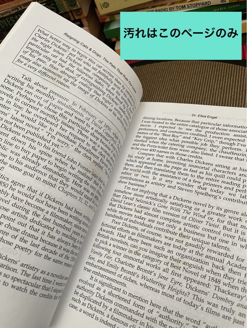 希少　サイン入り　REIGNING CATS & DOGS