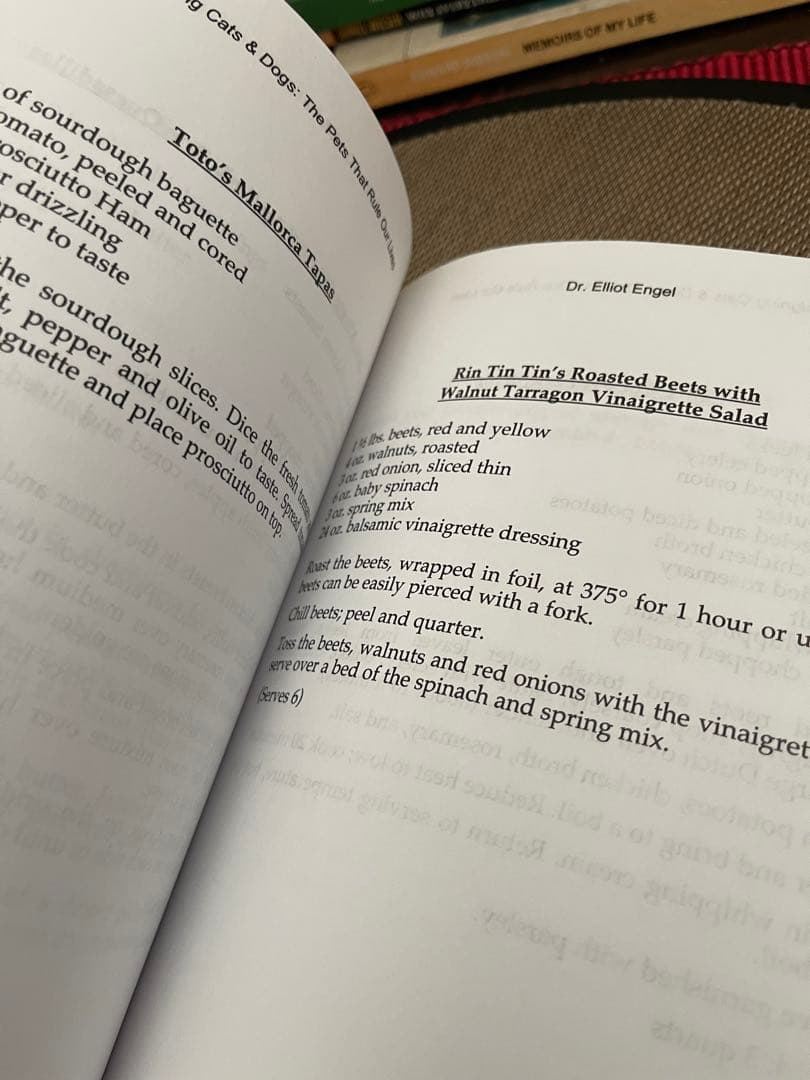 希少　サイン入り　REIGNING CATS & DOGS