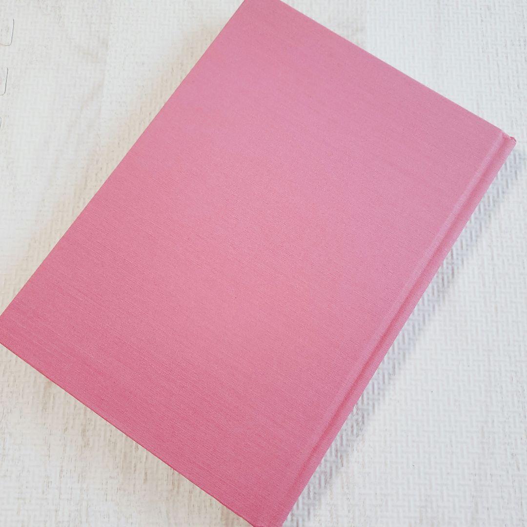 ★限定写真集★ブランキージェットシティ break on through 初版