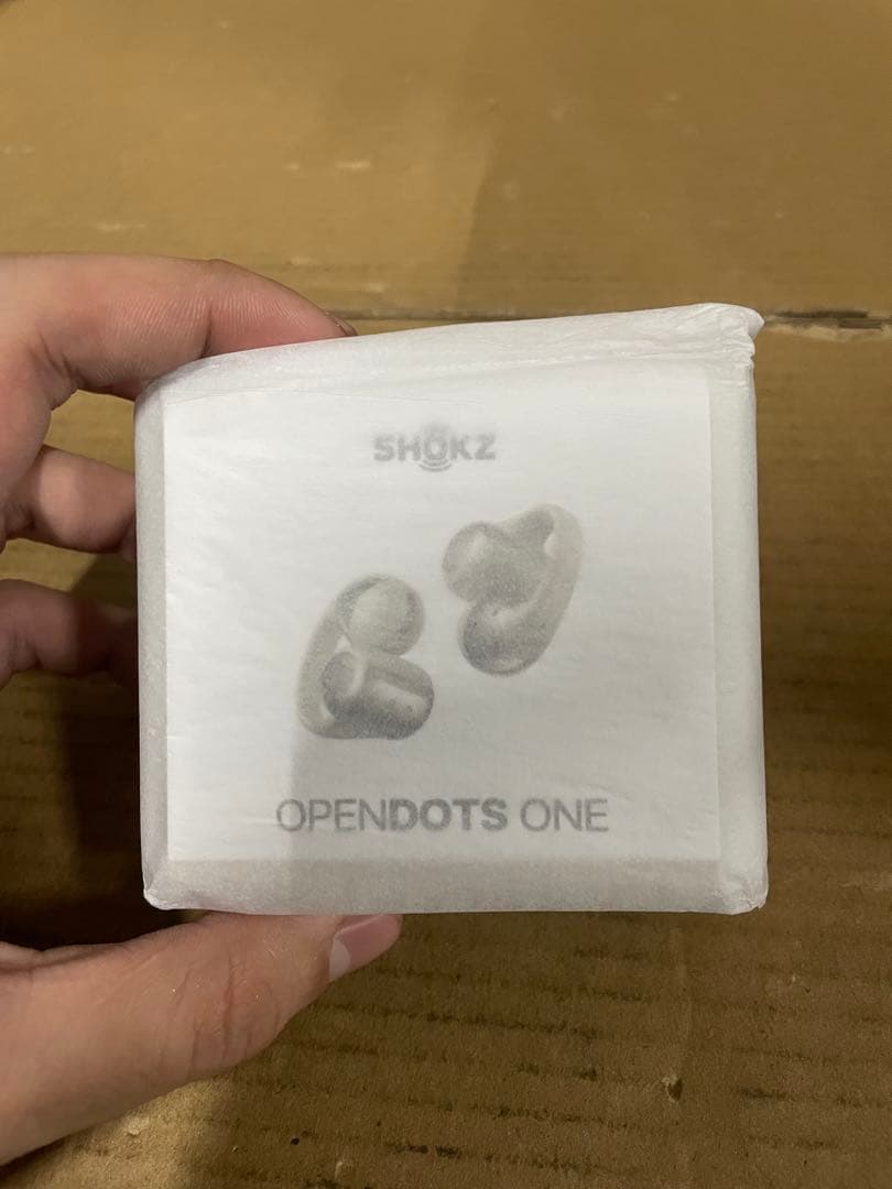 Shokz OpenDots ONE イヤーカフ ワイヤレスイヤホン グレー