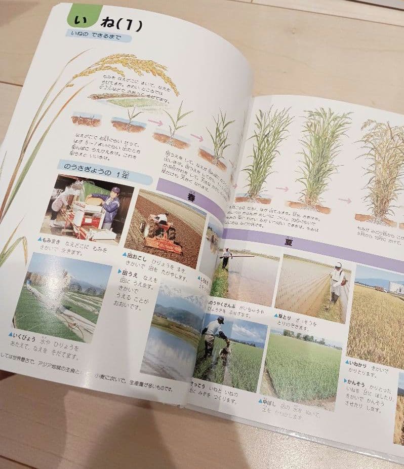 期間限定価格です！学研 ★ こどもベスト図鑑 全16 巻セット