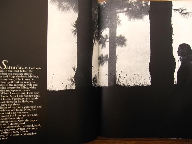 NOVEMBER GIRL　Sam Haskins　サム・ハスキンス