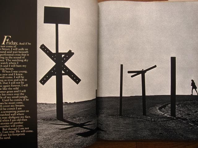 NOVEMBER GIRL　Sam Haskins　サム・ハスキンス