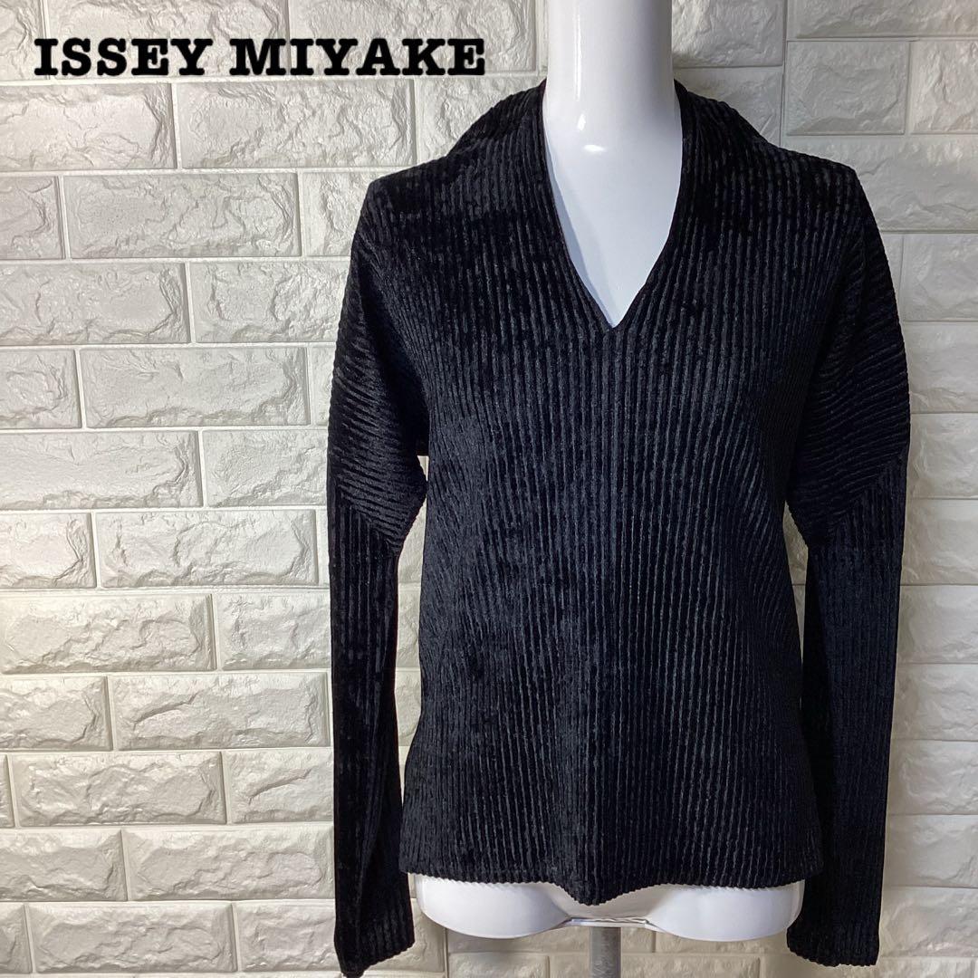 ISSEY MIYAKE イッセイミヤケ　プリーツ長袖カットソー　Vネック