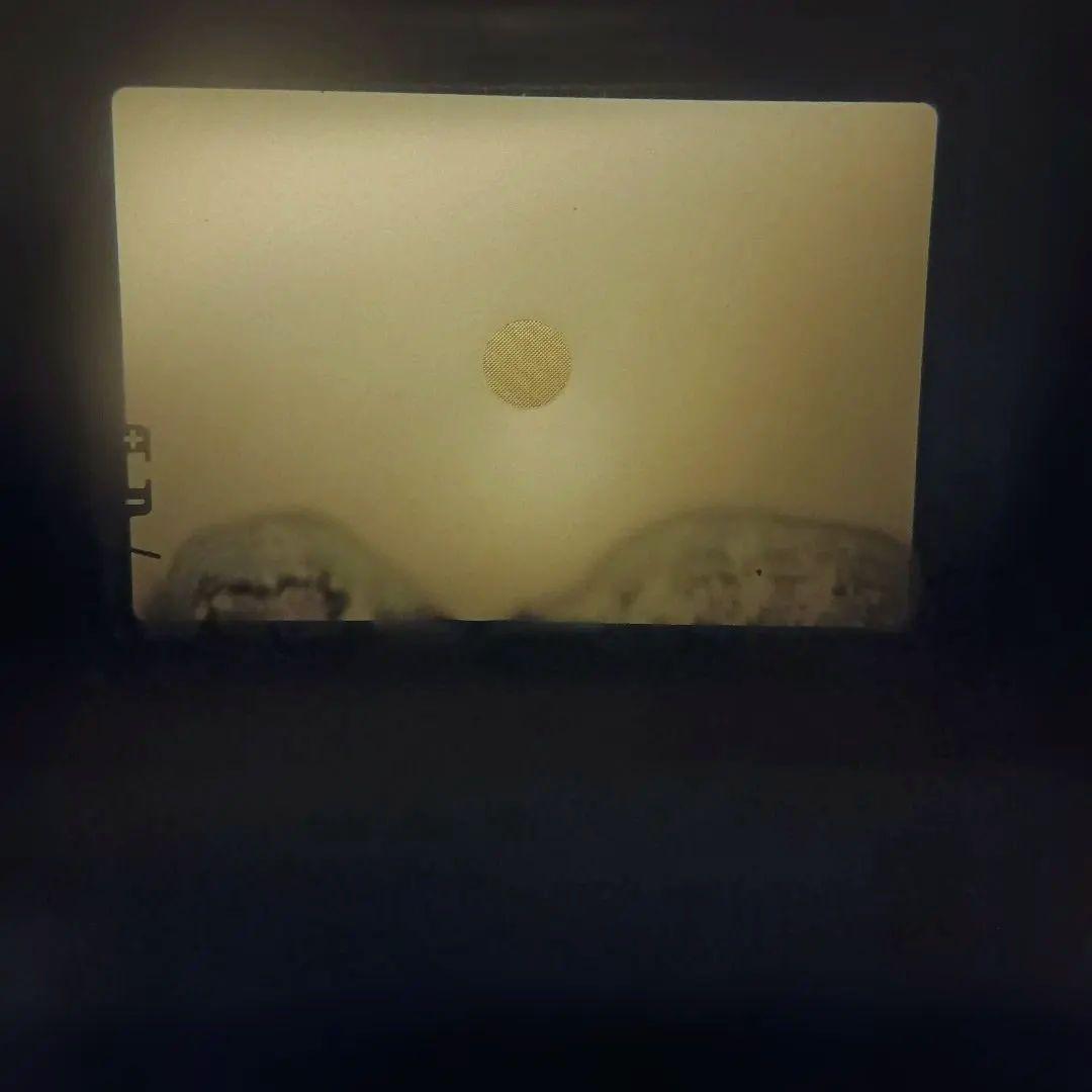 OLYMPUS M-1とG.ZUIKO M-SYSTEM　50mm f1.4