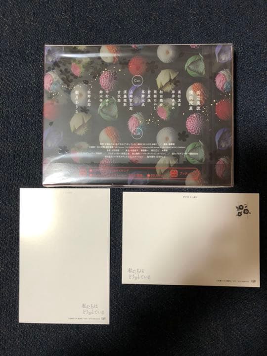 私たちはどうかしている DVD-BOX〈5枚組〉特典付き