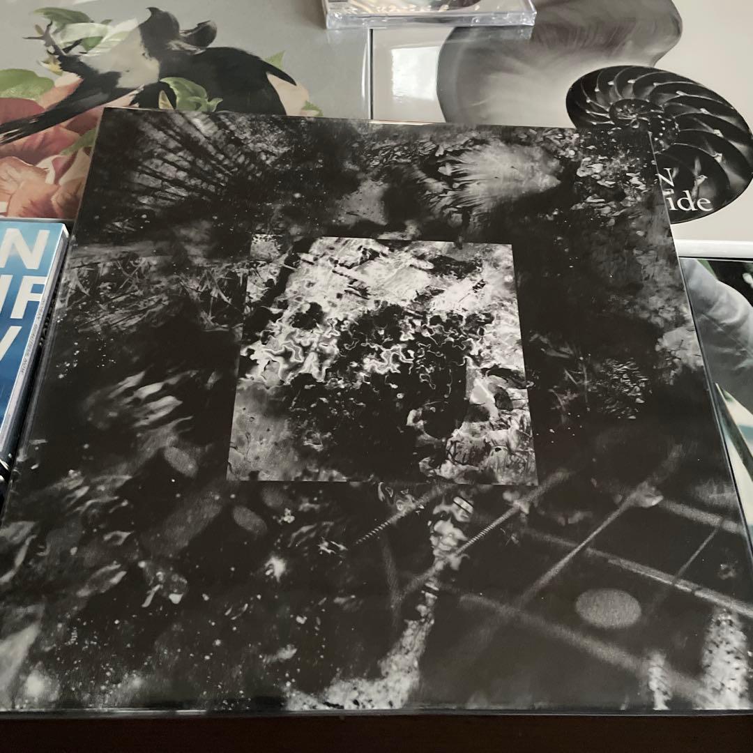 ルナシー レコード CD DVD INORAN SUGIZO 河村隆一