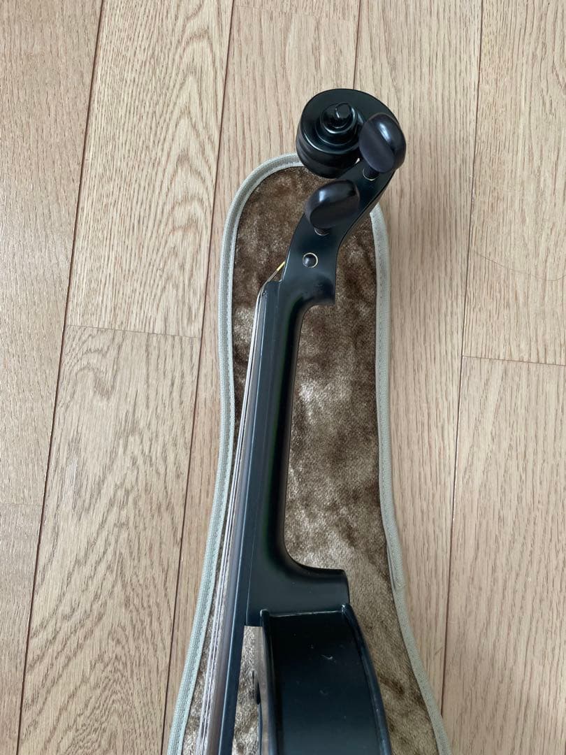 lizzzz　Kranz エレキ バイオリンSUGIZO LUNA SEA