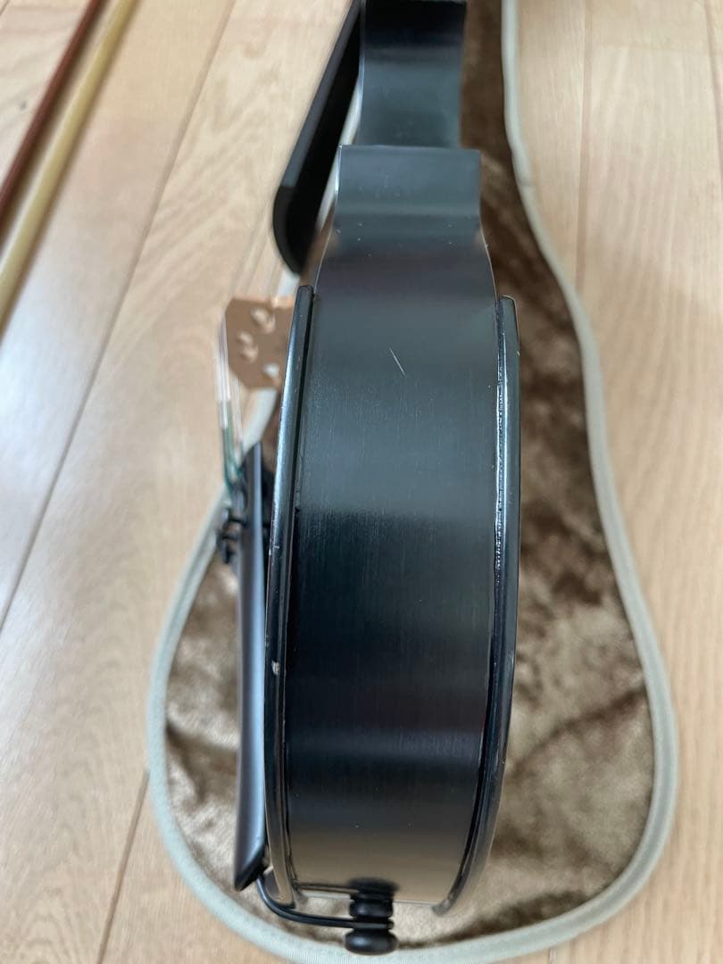 lizzzz　Kranz エレキ バイオリンSUGIZO LUNA SEA