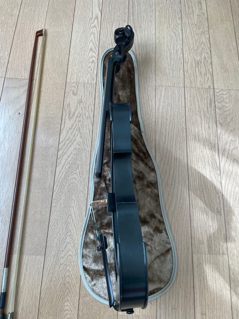 lizzzz　Kranz エレキ バイオリンSUGIZO LUNA SEA