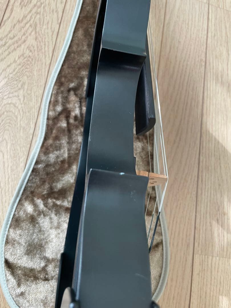 lizzzz　Kranz エレキ バイオリンSUGIZO LUNA SEA