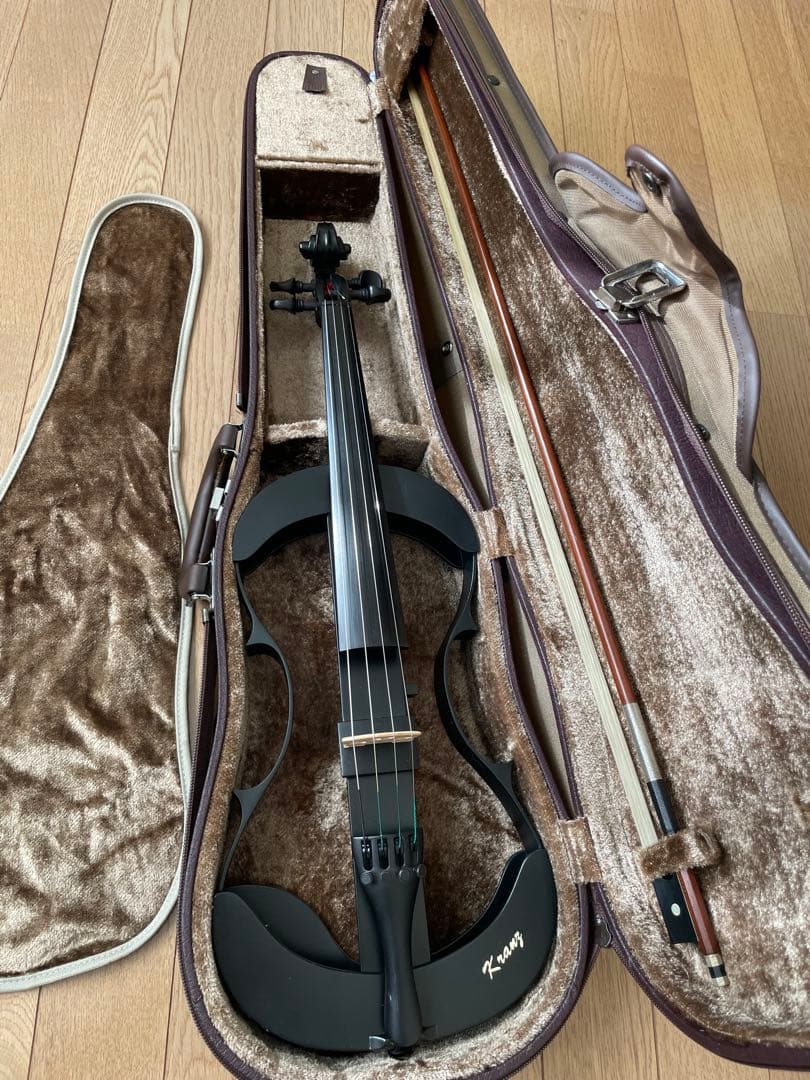 lizzzz　Kranz エレキ バイオリンSUGIZO LUNA SEA