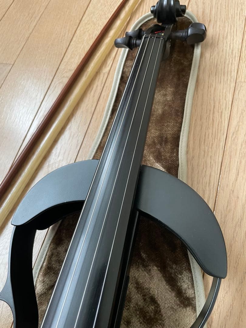 lizzzz　Kranz エレキ バイオリンSUGIZO LUNA SEA