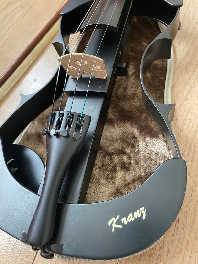 lizzzz　Kranz エレキ バイオリンSUGIZO LUNA SEA