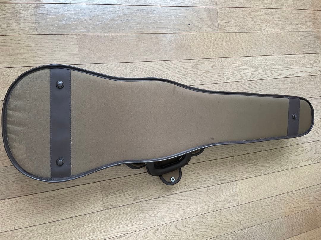 lizzzz　Kranz エレキ バイオリンSUGIZO LUNA SEA