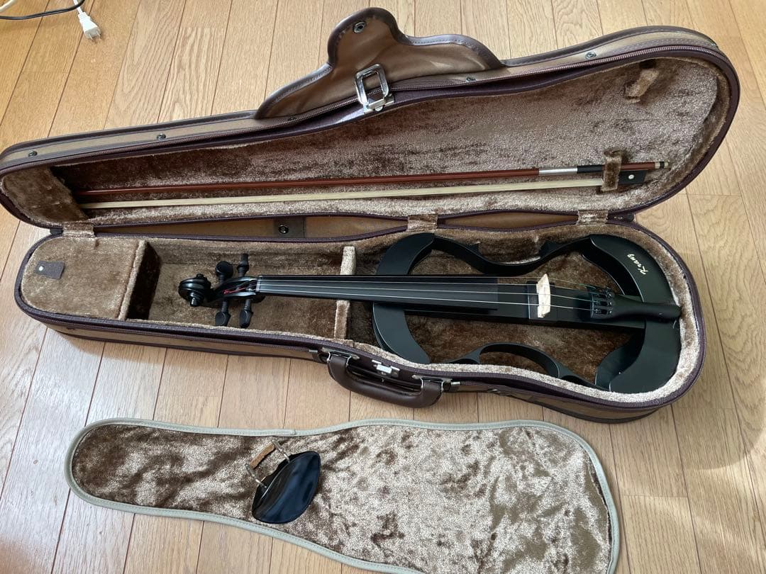 lizzzz　Kranz エレキ バイオリンSUGIZO LUNA SEA