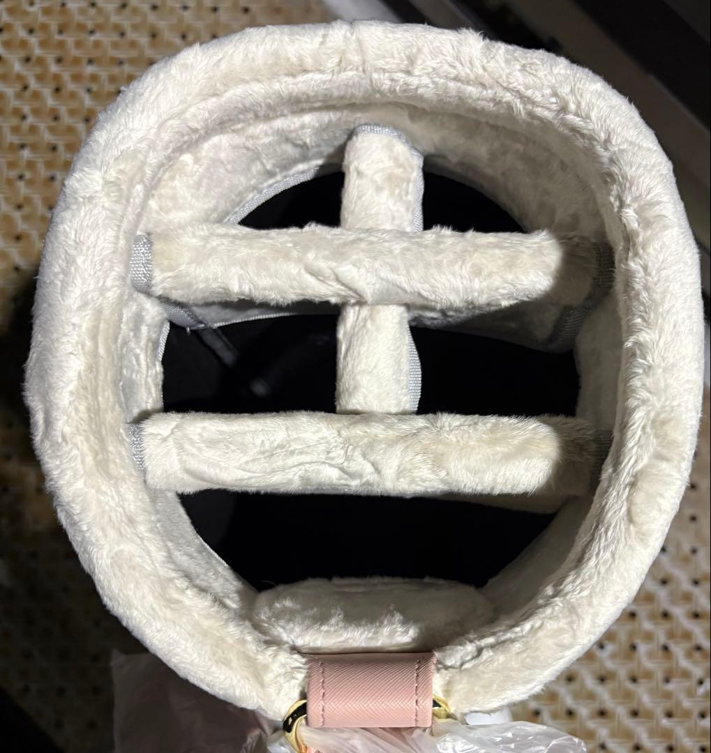 REGOLITH キャディバッグ