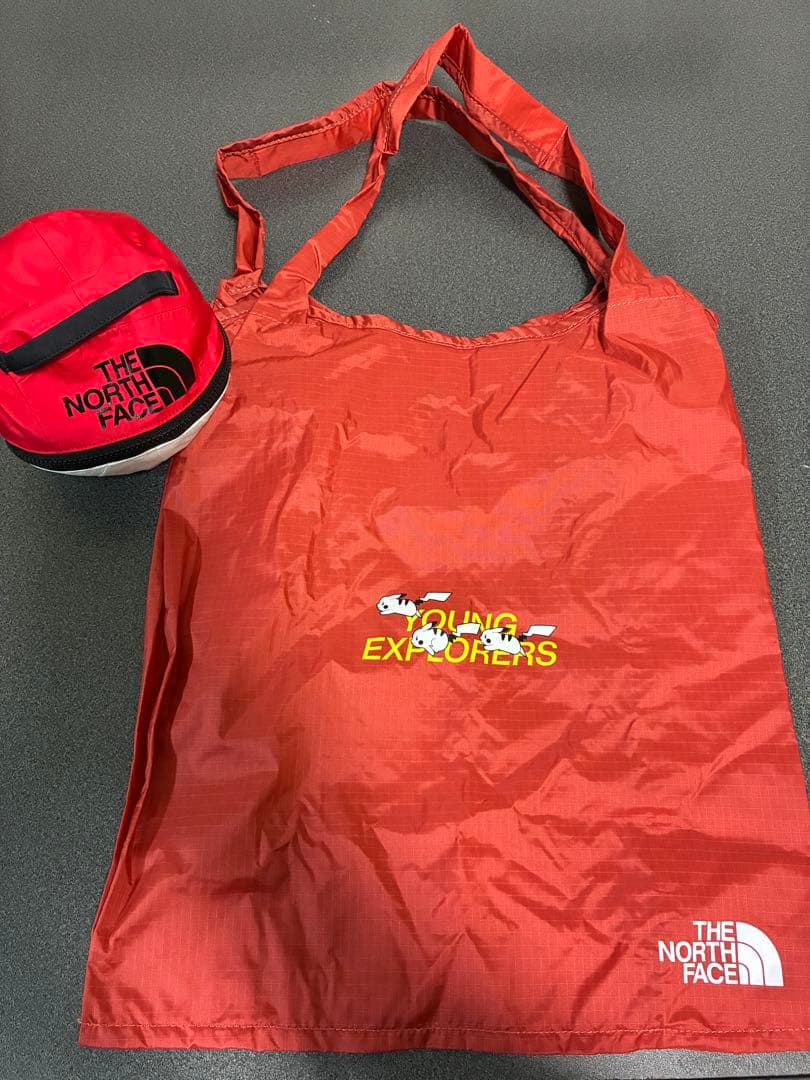 ノースフェイスフェイス　エコバッグ　ポケモン コラボ