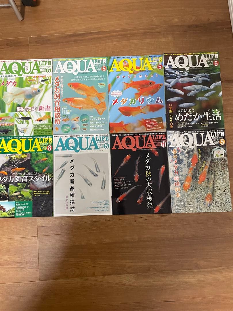 AQUA LIFE 2020年5月号・11月号