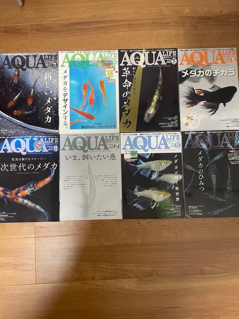 AQUA LIFE 2020年5月号・11月号