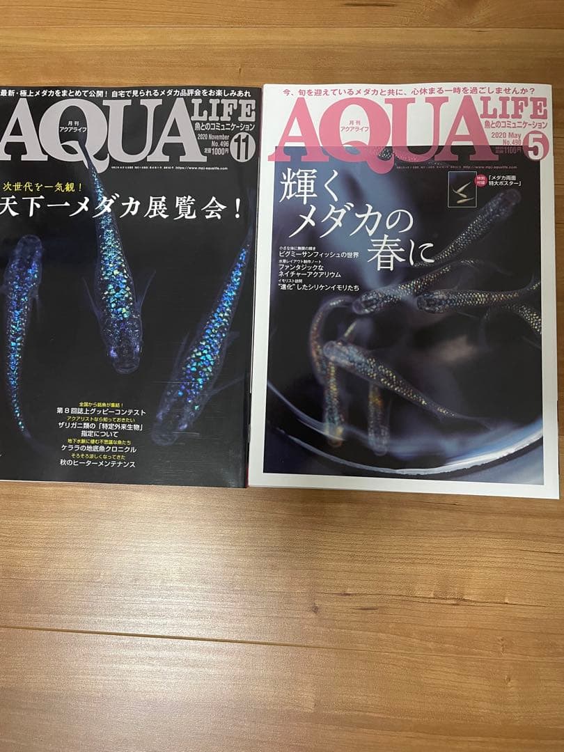 AQUA LIFE 2020年5月号・11月号