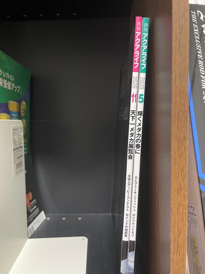 AQUA LIFE 2020年5月号・11月号