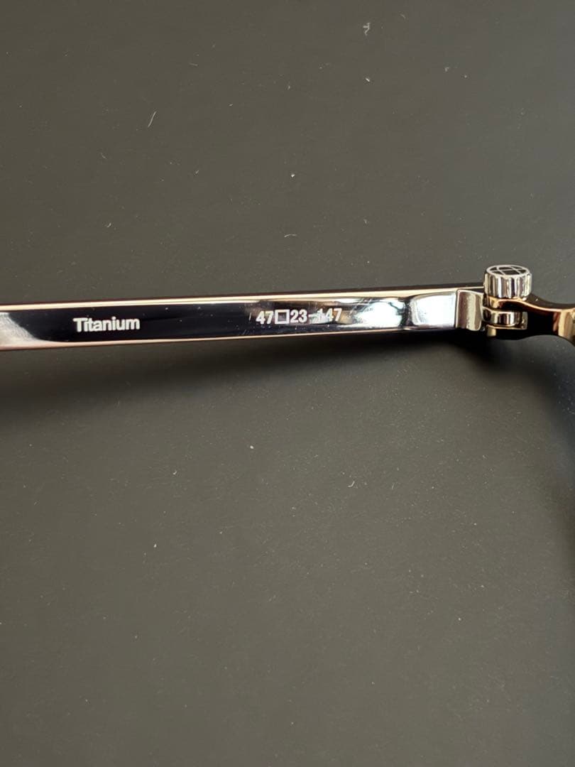 DOMESTICINTERNATIONAL サングラス transitions