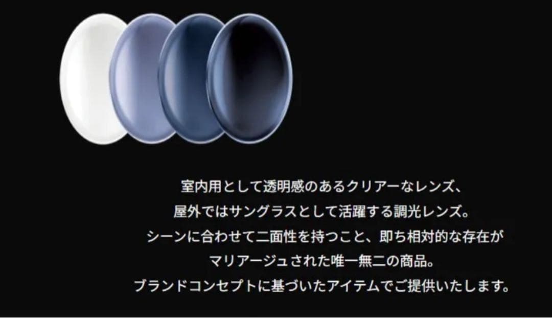 DOMESTICINTERNATIONAL サングラス transitions